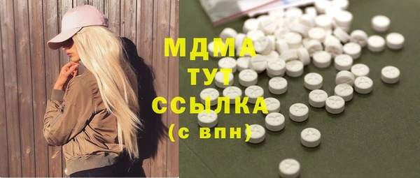 гашик Алексин