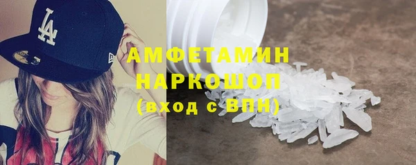 гашик Алексин