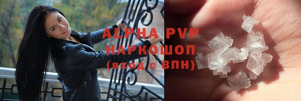 гашик Алексин
