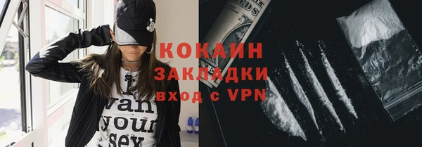 гашик Алексин