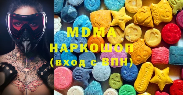 гашик Алексин